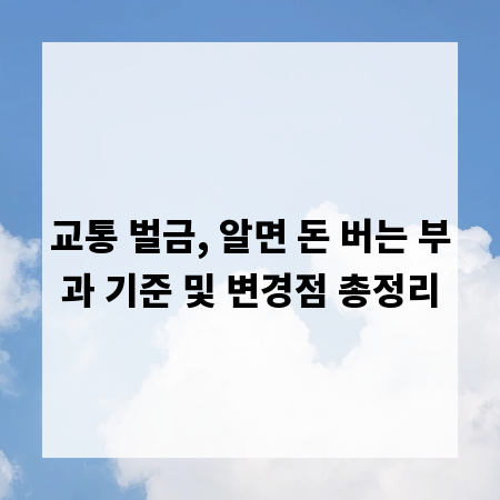 교통 벌금, 알면 돈 버는 부과 기준 및 변경점 총정리