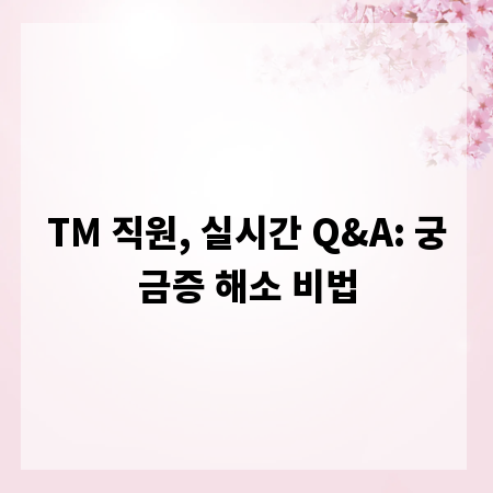 TM 직원, 실시간 Q&A: 궁금증 해소 비법