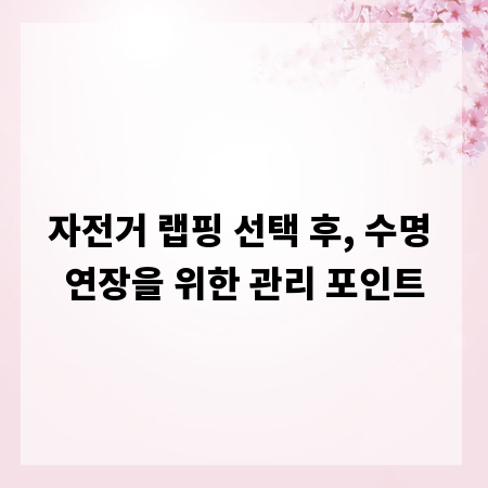 자전거 랩핑 선택 후, 수명 연장을 위한 관리 포인트