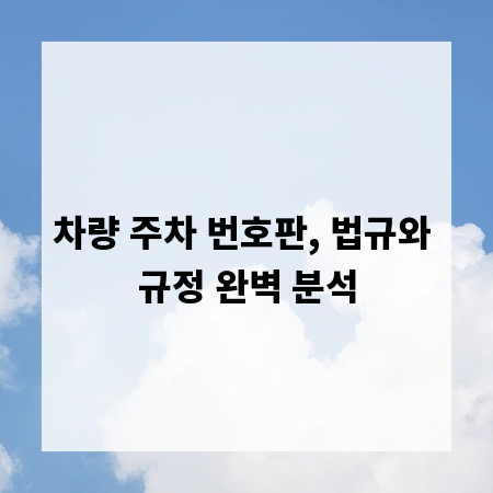 차량 주차 번호판, 법규와 규정 완벽 분석