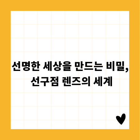 선명한 세상을 만드는 비밀, 선구점 렌즈의 세계
