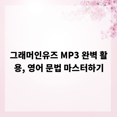그래머인유즈 MP3 완벽 활용, 영어 문법 마스터하기