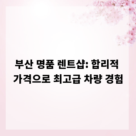 부산 명품 렌트샵: 합리적 가격으로 최고급 차량 경험