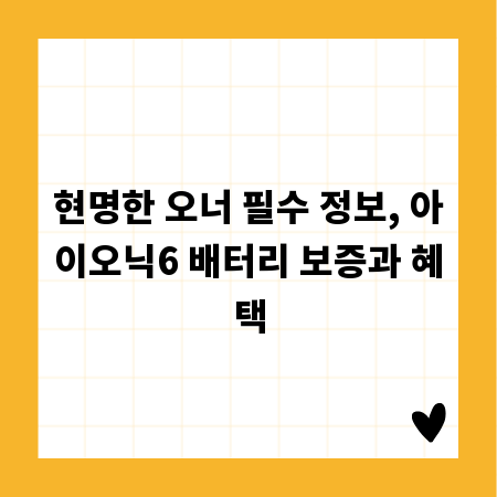 현명한 오너 필수 정보, 아이오닉6 배터리 보증과 혜택
