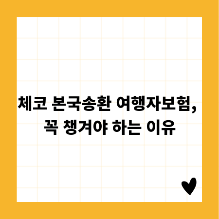 체코 본국송환 여행자보험, 꼭 챙겨야 하는 이유