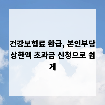 건강보험료 환급, 본인부담상한액 초과금 신청으로 쉽게