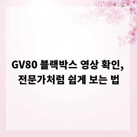 GV80 블랙박스 영상 확인, 전문가처럼 쉽게 보는 법