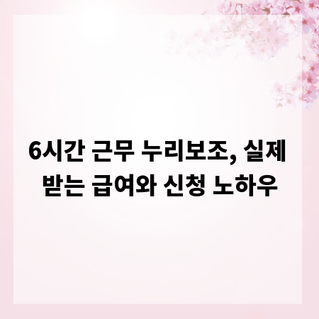 6시간 근무 누리보조, 실제 받는 급여와 신청 노하우