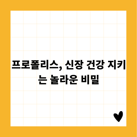 프로폴리스, 신장 건강 지키는 놀라운 비밀
