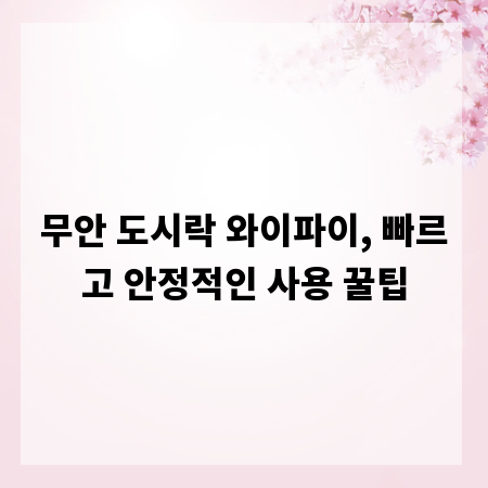 무안 도시락 와이파이, 빠르고 안정적인 사용 꿀팁