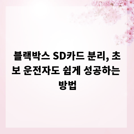 블랙박스 SD카드 분리, 초보 운전자도 쉽게 성공하는 방법