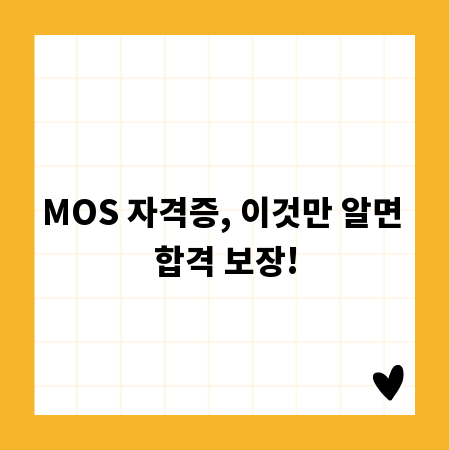 MOS 자격증, 이것만 알면 합격 보장!