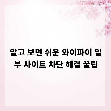 알고 보면 쉬운 와이파이 일부 사이트 차단 해결 꿀팁