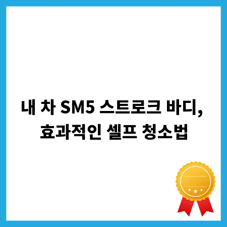 내 차 SM5 스트로크 바디, 효과적인 셀프 청소법