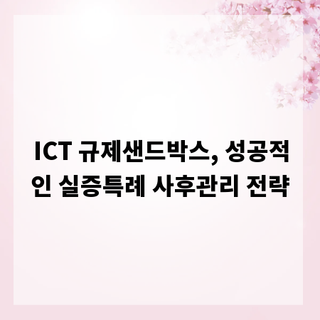 ICT 규제샌드박스, 성공적인 실증특례 사후관리 전략