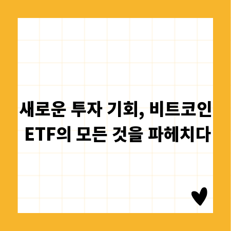 새로운 투자 기회, 비트코인 ETF의 모든 것을 파헤치다