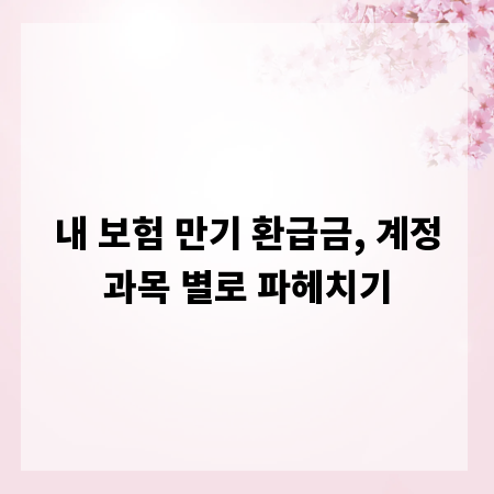 내 보험 만기 환급금, 계정과목 별로 파헤치기
