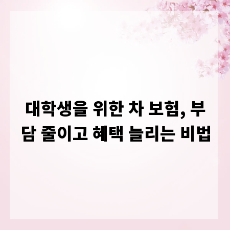대학생을 위한 차 보험, 부담 줄이고 혜택 늘리는 비법