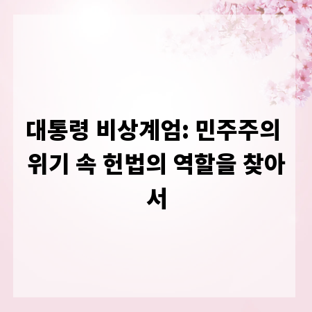 대통령 비상계엄: 민주주의 위기 속 헌법의 역할을 찾아서