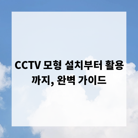 CCTV 모형 설치부터 활용까지, 완벽 가이드