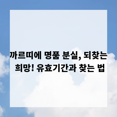 까르띠에 명품 분실, 되찾는 희망! 유효기간과 찾는 법