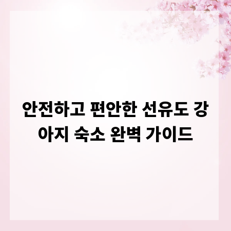 안전하고 편안한 선유도 강아지 숙소 완벽 가이드