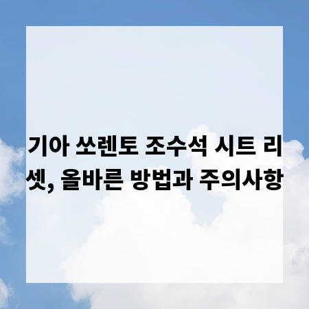 기아 쏘렌토 조수석 시트 리셋, 올바른 방법과 주의사항