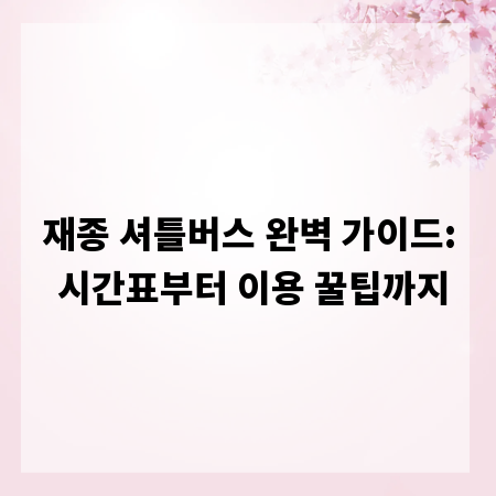 재종 셔틀버스 완벽 가이드: 시간표부터 이용 꿀팁까지