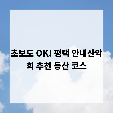 초보도 OK! 평택 안내산악회 추천 등산 코스