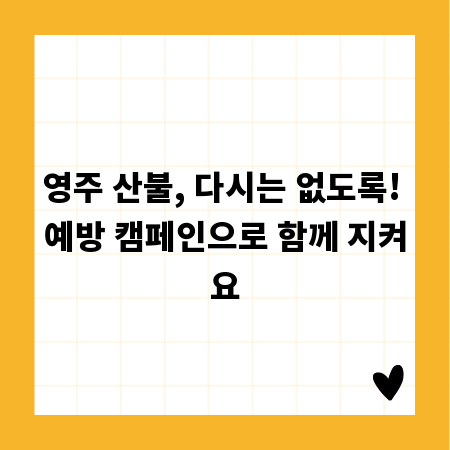 영주 산불, 다시는 없도록! 예방 캠페인으로 함께 지켜요