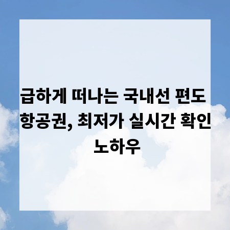 급하게 떠나는 국내선 편도 항공권, 최저가 실시간 확인 노하우