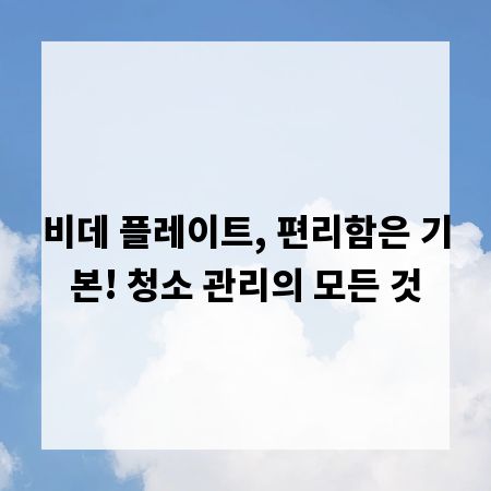 비데 플레이트, 편리함은 기본! 청소 관리의 모든 것