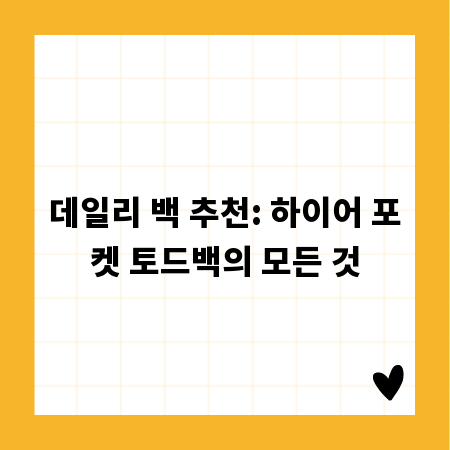 데일리 백 추천: 하이어 포켓 토드백의 모든 것