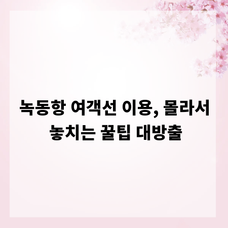 녹동항 여객선 이용, 몰라서 놓치는 꿀팁 대방출