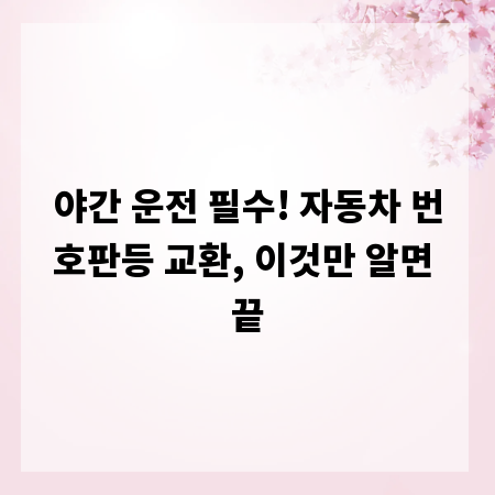 야간 운전 필수! 자동차 번호판등 교환, 이것만 알면 끝