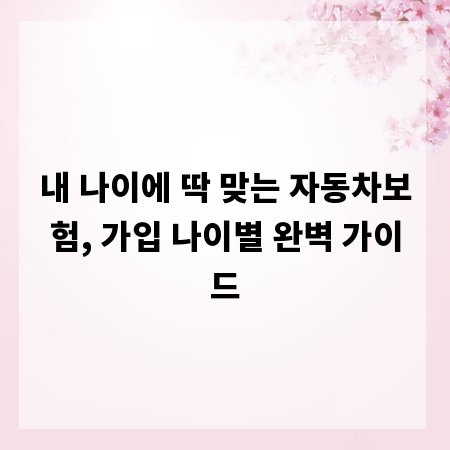 내 나이에 딱 맞는 자동차보험, 가입 나이별 완벽 가이드