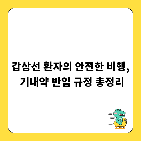 갑상선 환자의 안전한 비행, 기내약 반입 규정 총정리