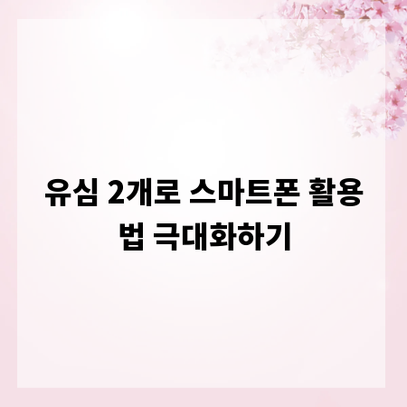 유심 2개로 스마트폰 활용법 극대화하기