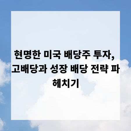 현명한 미국 배당주 투자, 고배당과 성장 배당 전략 파헤치기