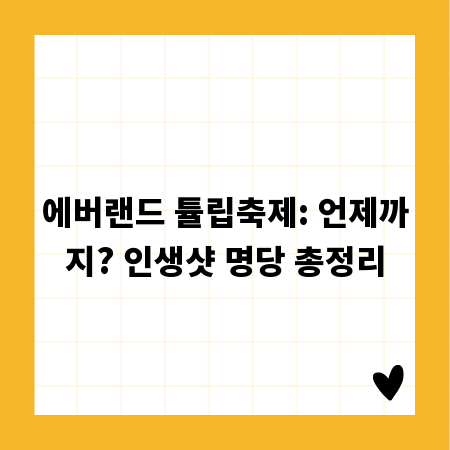 에버랜드 튤립축제: 언제까지? 인생샷 명당 총정리