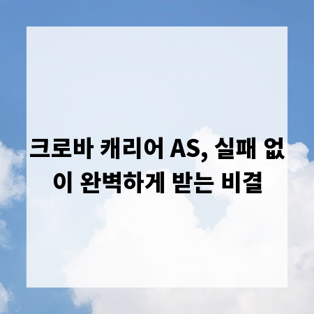 크로바 캐리어 AS, 실패 없이 완벽하게 받는 비결
