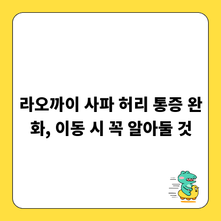 라오까이 사파 허리 통증 완화, 이동 시 꼭 알아둘 것