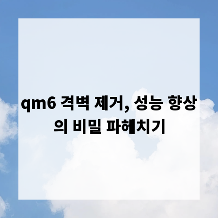 qm6 격벽 제거, 성능 향상의 비밀 파헤치기