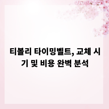 티볼리 타이밍벨트, 교체 시기 및 비용 완벽 분석