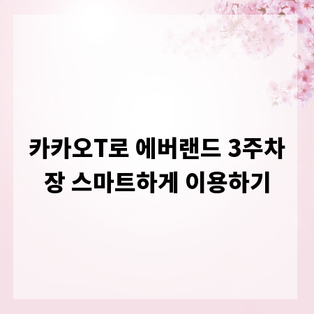 카카오T로 에버랜드 3주차장 스마트하게 이용하기