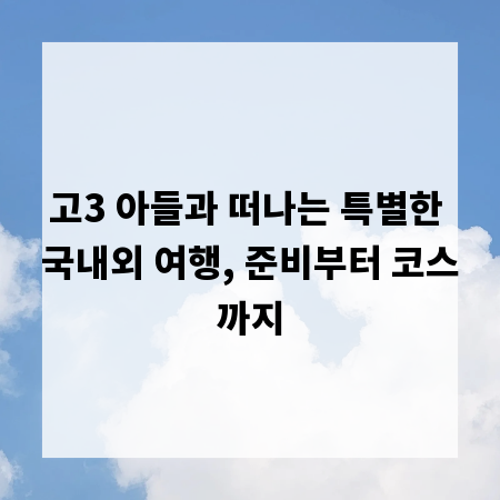 고3 아들과 떠나는 특별한 국내외 여행, 준비부터 코스까지