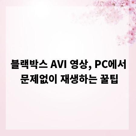 블랙박스 AVI 영상, PC에서 문제없이 재생하는 꿀팁