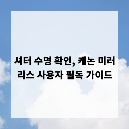 셔터 수명 확인, 캐논 미러리스 사용자 필독 가이드