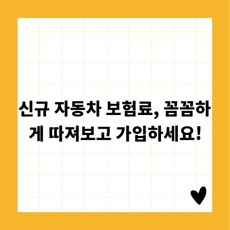 신규 자동차 보험료, 꼼꼼하게 따져보고 가입하세요!