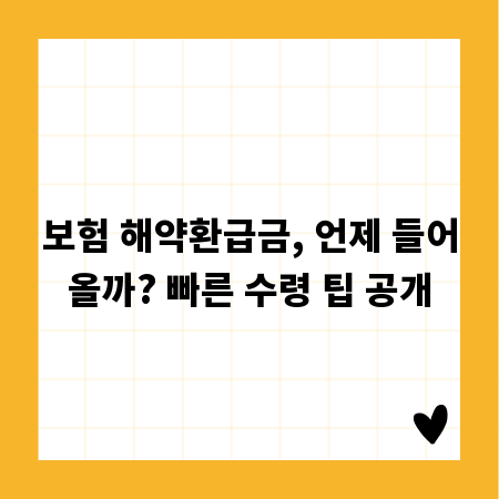 보험 해약환급금, 언제 들어올까? 빠른 수령 팁 공개